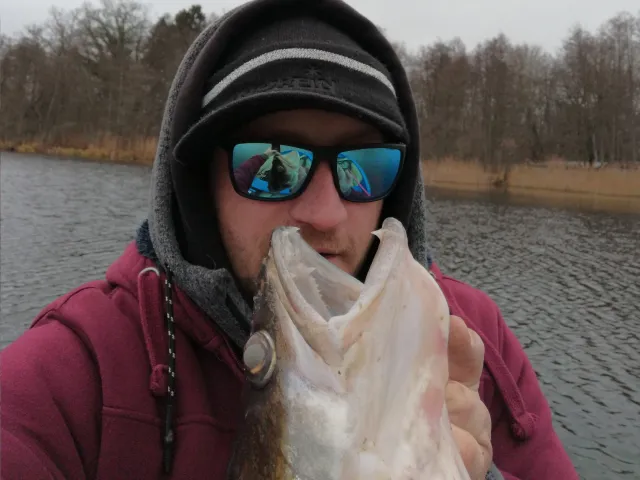 Zander