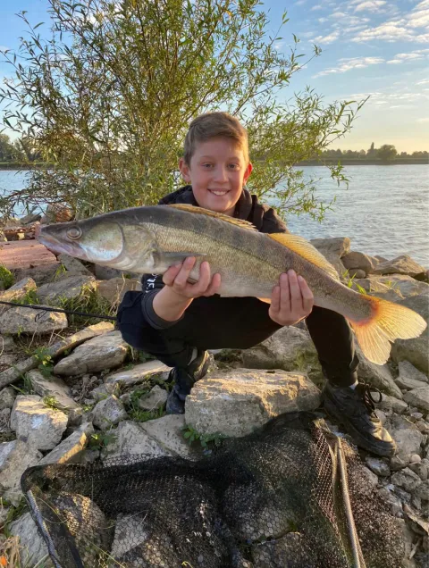 Zander