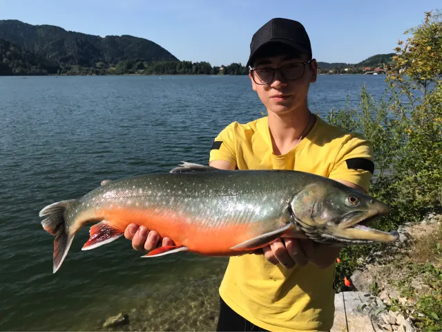 Seesaibling