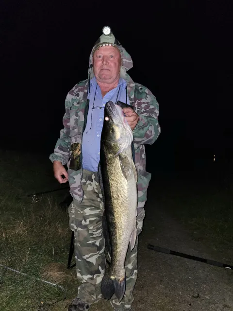 Zander