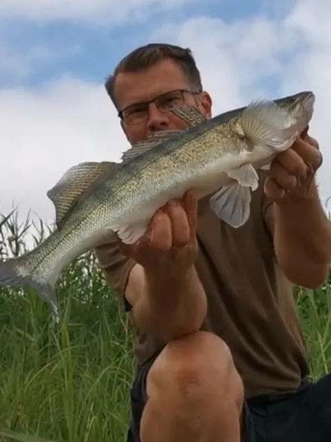 Zander