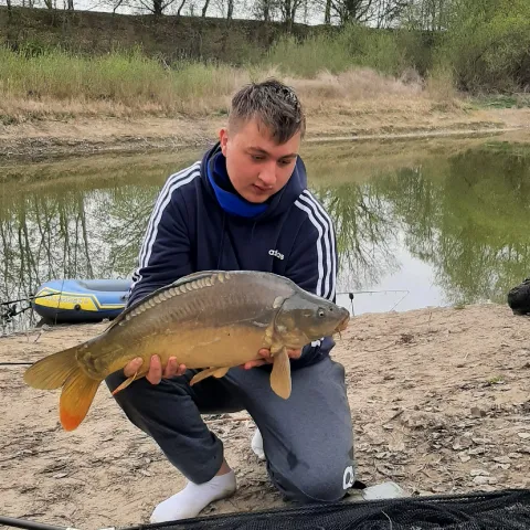 Karpfen