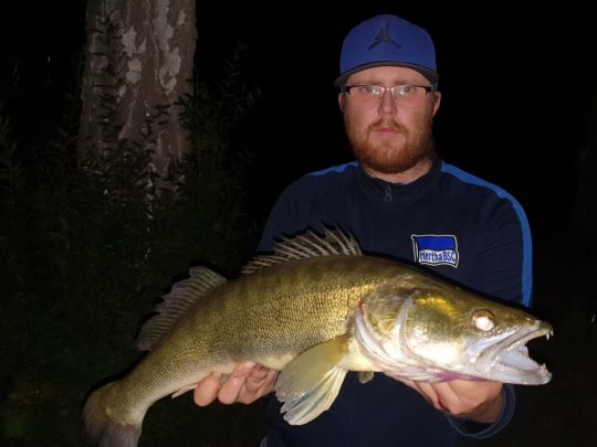 Zander