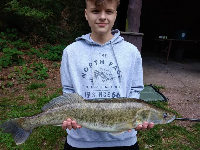 Zander
