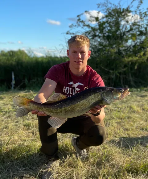 Zander
