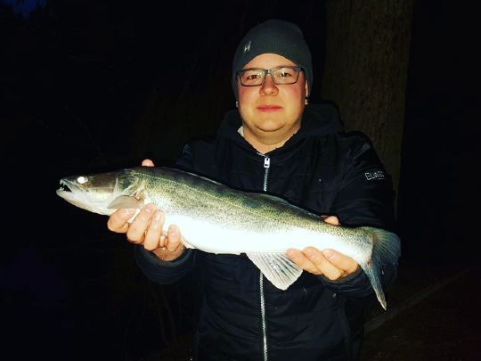 Zander