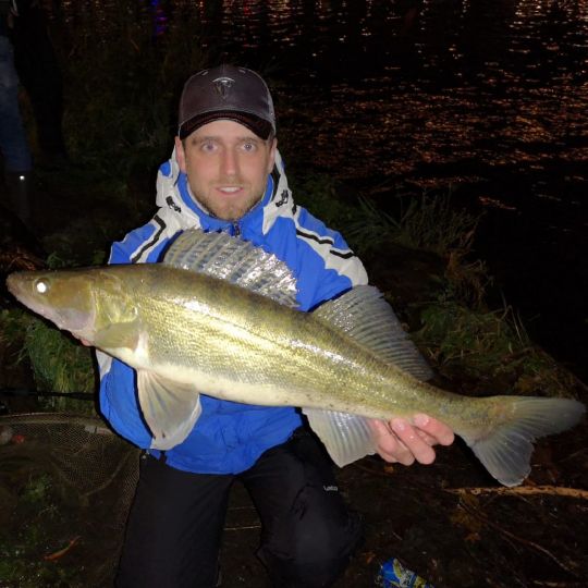 Zander