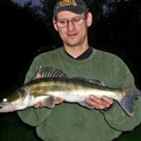 Zander