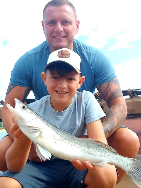 Zander