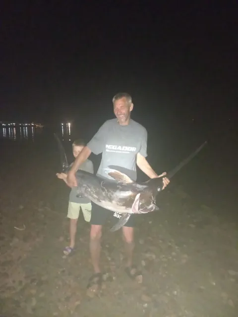 Marlin
