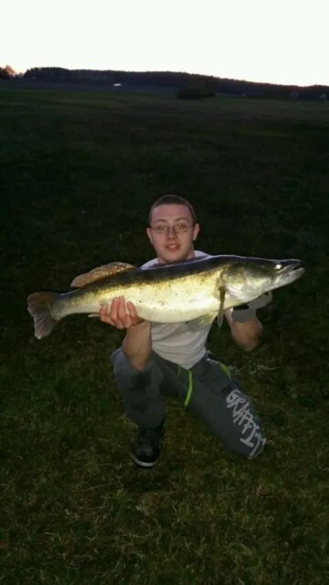 Zander