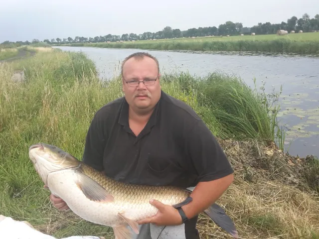 Graskarpfen