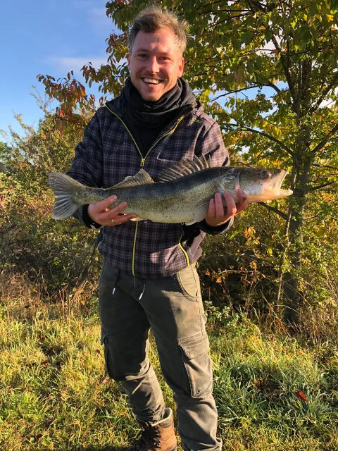 Zander