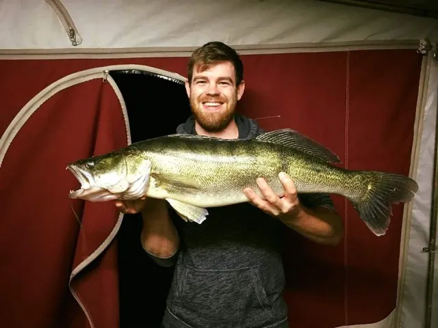 Zander