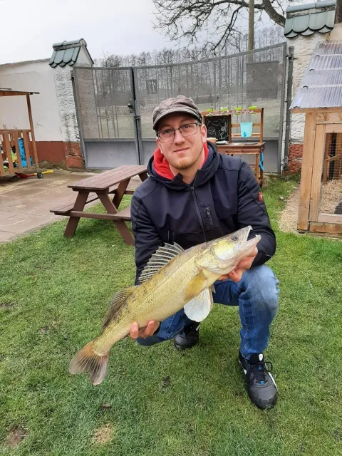 Zander