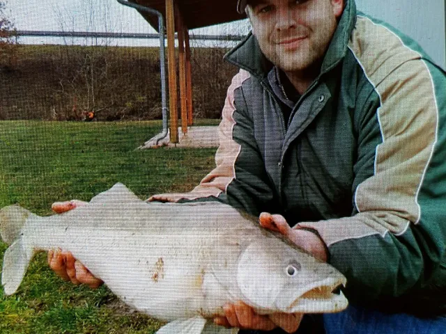 Zander