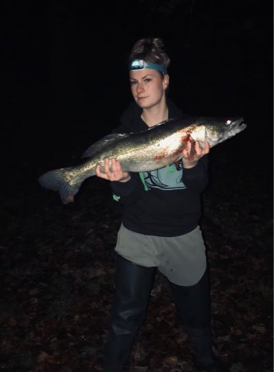 Zander