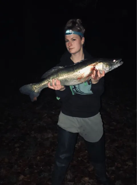 Zander