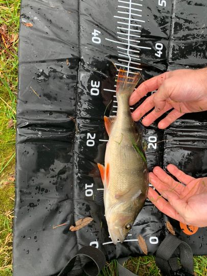 55+ Unterer Spiegeltaler Teich, Sowohl im sommer, als auch im winter
