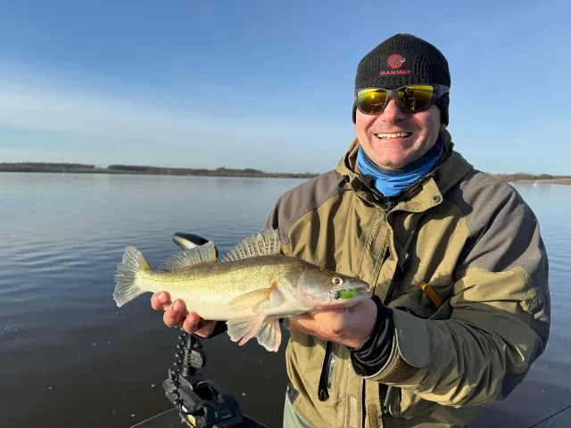 Zander