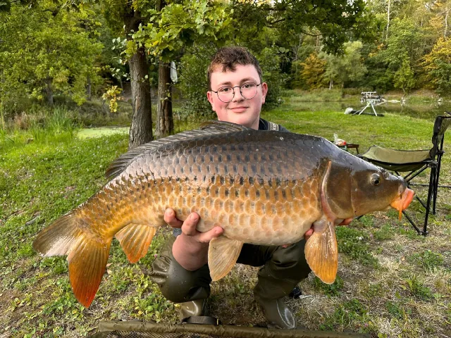 Karpfen