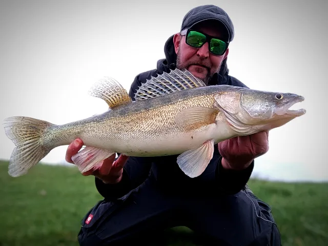 Zander