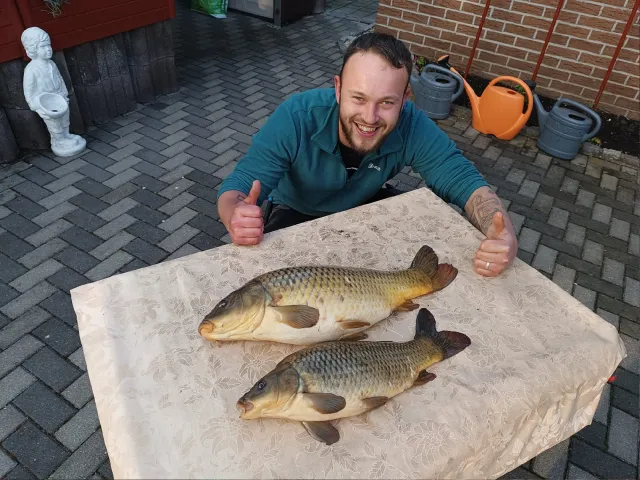 Karpfen