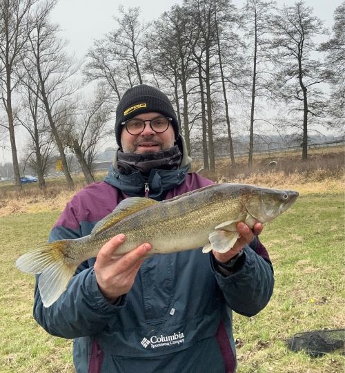 Zander