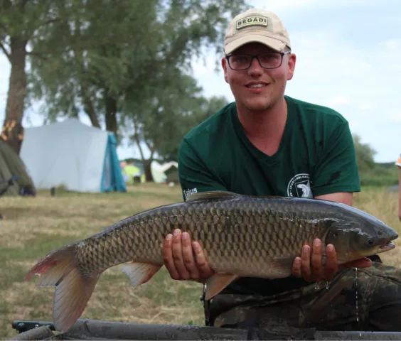 Graskarpfen