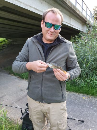 Flussbarsch
