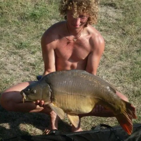 Karpfen