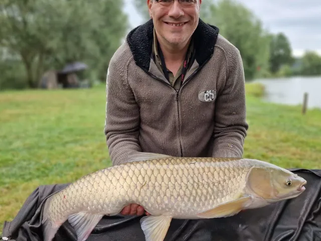 Karpfen