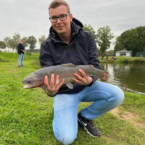Regenbogenforelle