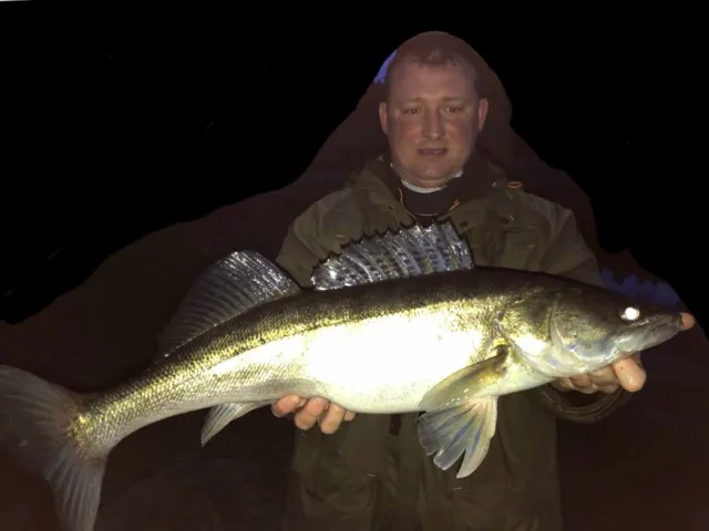 Zander