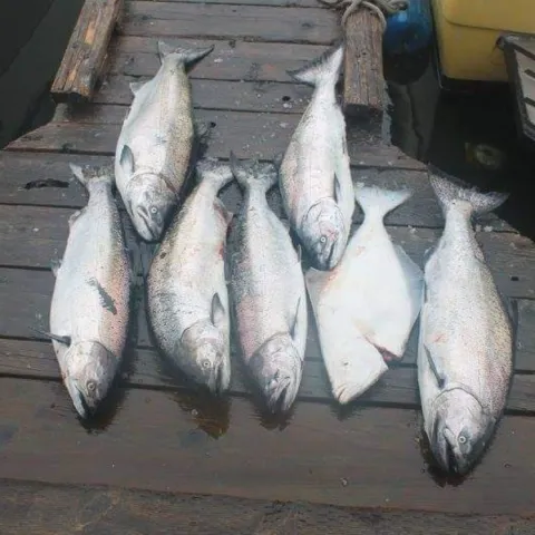 Lachs
