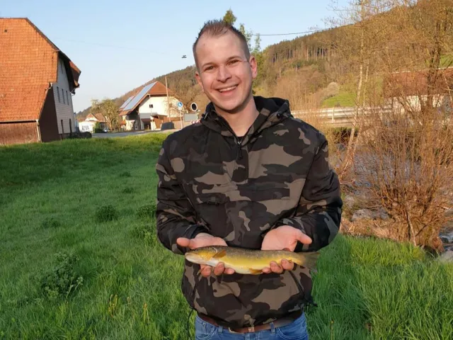 Bachforelle