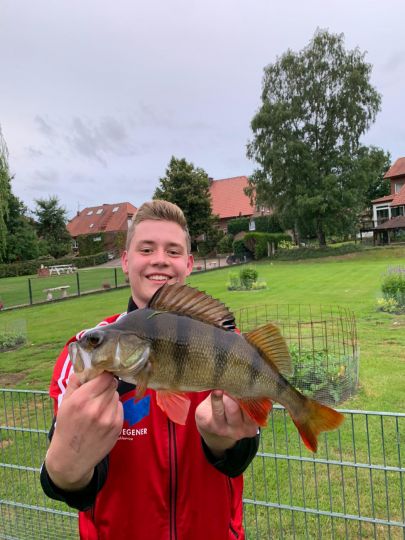 Flussbarsch