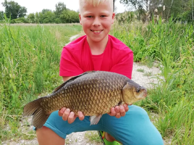 Giebel