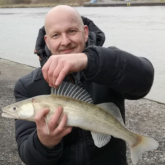 Zander
