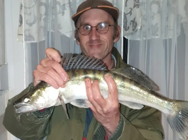 Zander