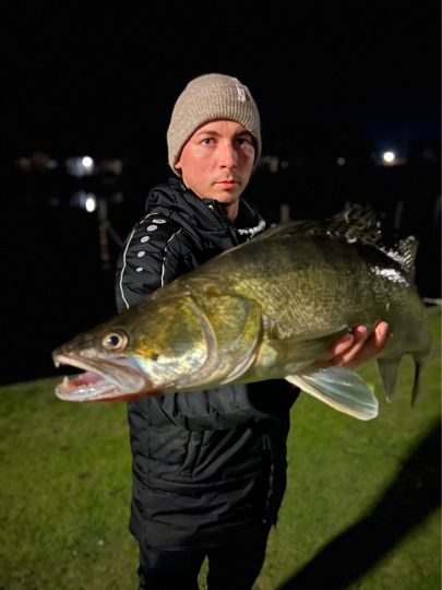 Zander