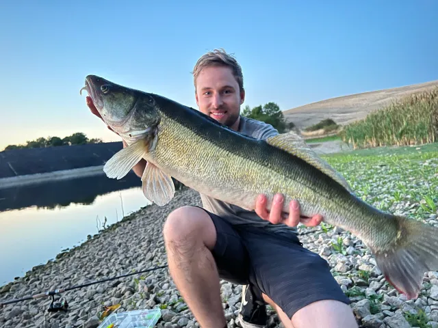 Zander