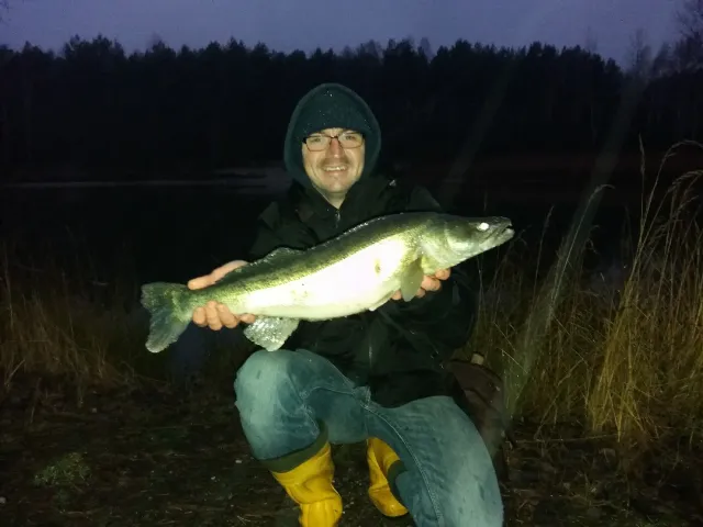 Zander