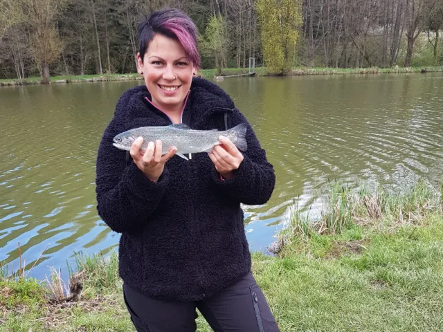 Regenbogenforelle