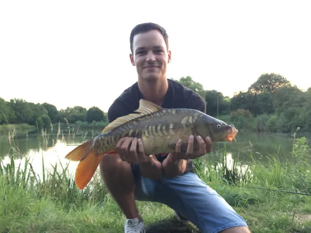 Karpfen