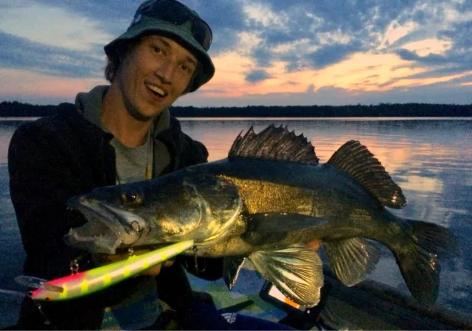 Zander