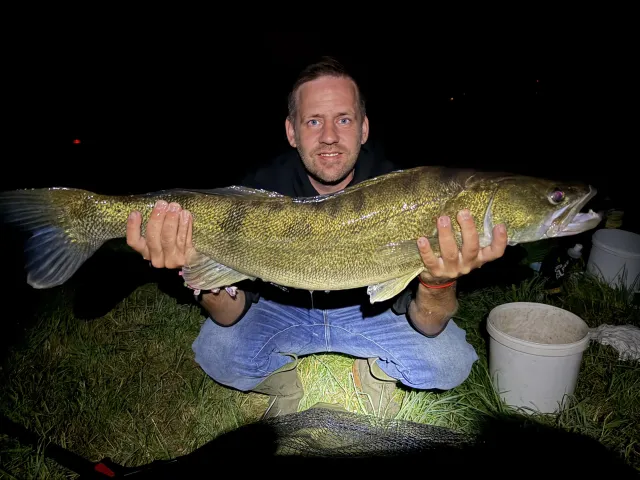 Zander