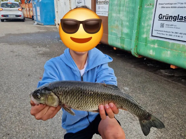 Döbel