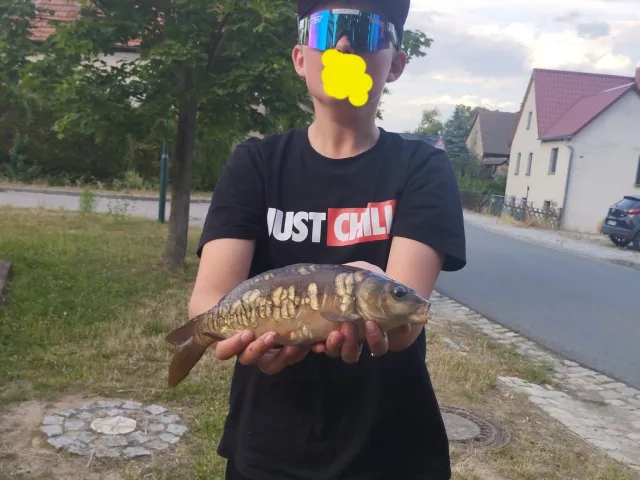 Karpfen
