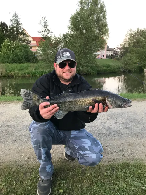 Zander
